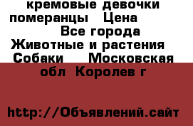 кремовые девочки померанцы › Цена ­ 30 000 - Все города Животные и растения » Собаки   . Московская обл.,Королев г.